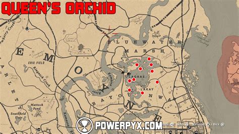 Queen's Orchid Locations in Red Dead Redemption 2