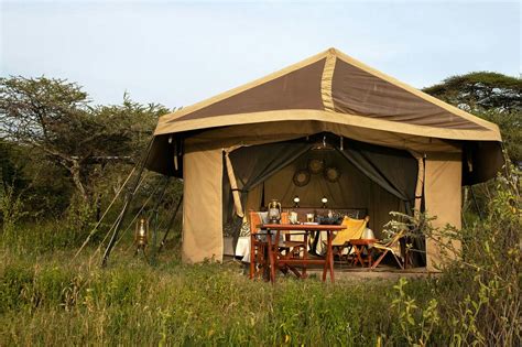 Quest 1: Safari Sojourn through the Serengeti