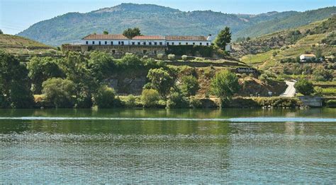 Quinta das Carvalhas: Exploring the Enchanting Wine Estate