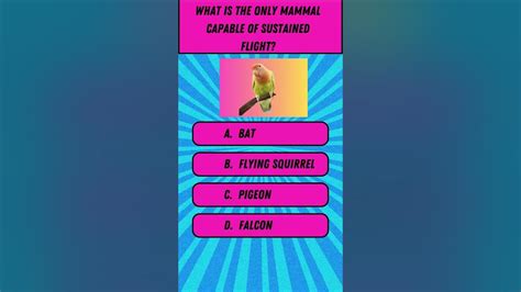 Quiz 1: Mammal Marvels