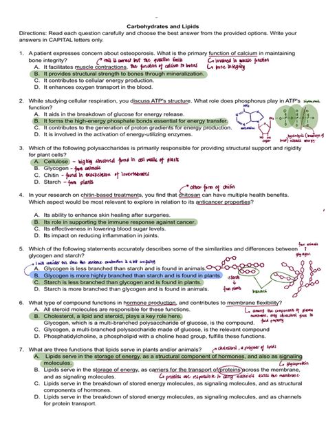 Quiz On Carbohydrates And Lipids Answer Key Free Ebook Epub