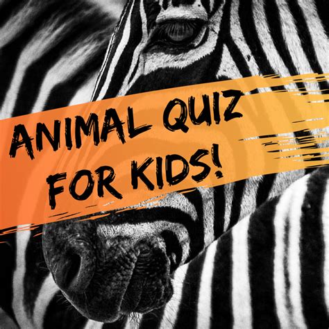 Quiz on Animals PDF