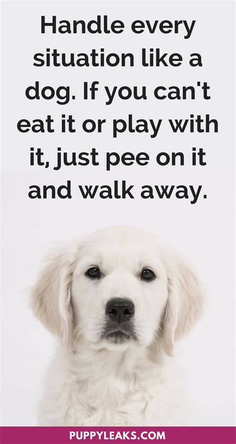 Quotes On Pets Funny Quotes On Pets Epub