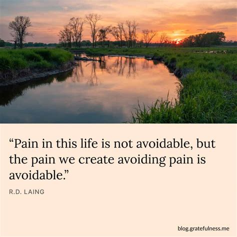 Quotes on the Nature of Pain