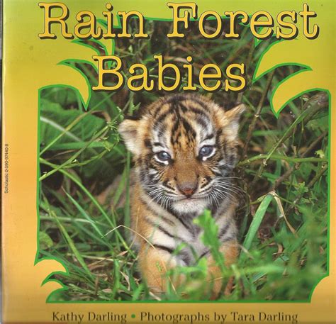 RAIN FOREST BABIES Ebook Kindle Editon