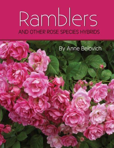 RAMBLERS Other Rose Species Hybrids PDF