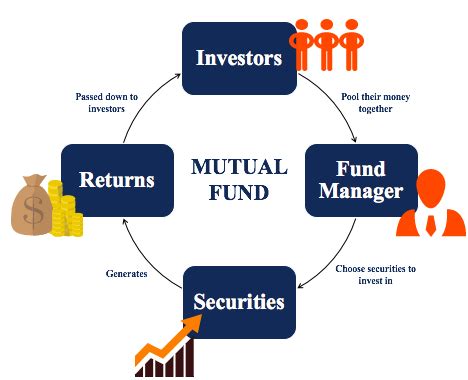 RBC Medium Risk Mutual Funds: A Comprehensive Guide for Investors