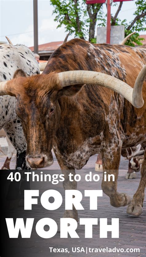 RDO Fort Worth: The Ultimate Guide to the 40 Best Things to Do