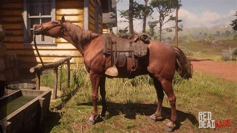 RDR2: Meet the Tennessee Walker, Your Noble and Versatile Mount