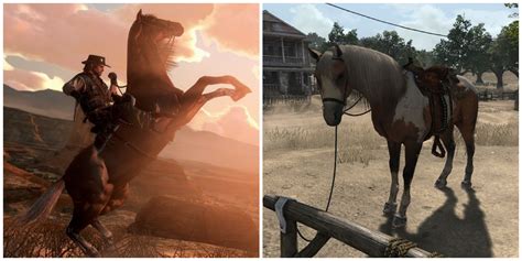 RDR2 Horse Rankings: The Ultimate Guide to Finding Your Perfect Mount