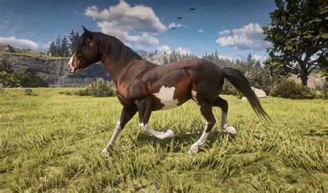 RDR2 Horse Restrictions: A Comprehensive Guide