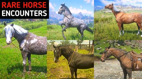 RDR2 Rarest Horse: A Comprehensive Guide to the Elusive Steeds of the Wild West