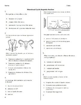 REGENTS BIOLOGY MENSTRUAL CYCLE ANSWER KEY Ebook Reader