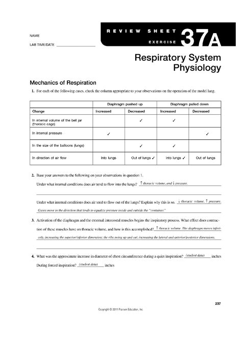 REVIEW SHEET 37A RESPIRATORY SYSTEM PHYSIOLOGY Ebook Epub