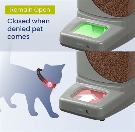 RFID Pet Feeder for Pet Owners: A Smart Solution for 2025