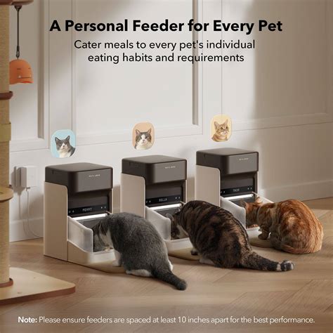 RFID Pet Feeders: 2025's Ultimate Poisoning Prevention Tool