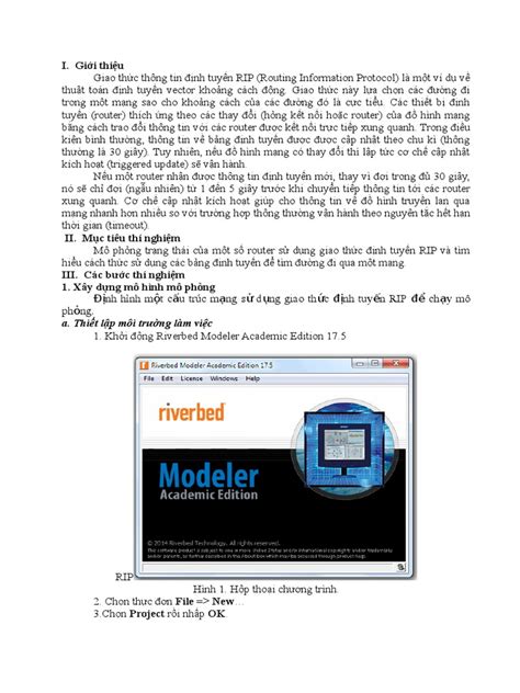 RIP IN OPNET Ebook Doc