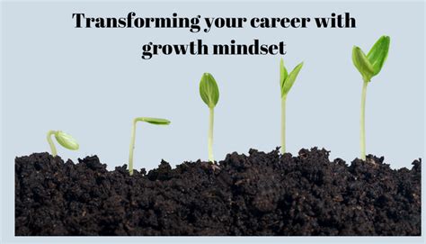 RMU Graduate Programs: Transforming Your Career and Personal Growth