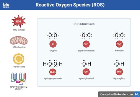 ROSx: The Next Generation of ROS