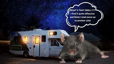 RV Mouse Doc