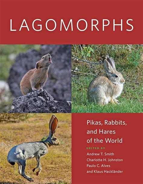 Rabbits Alive and Kicking: A Comprehensive Guide to the Ubiquitous Lagomorphs