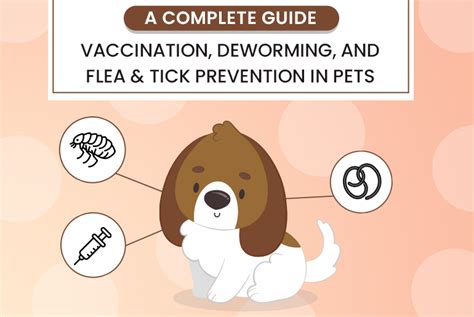 Rabies Shot for Dogs: The Ultimate 10,000-Word Guide