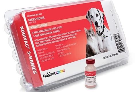 Rabies Shot for Dogs Near Me: Ultimate Guide