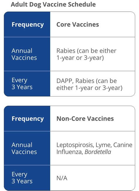 Rabies Vaccination for Dogs: 3-Step Guide to Protect Your Furry Friend