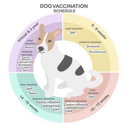 Rabies Vaccine for Dogs Cost: What You Need to Know in 2023