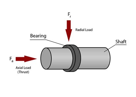 Radial Load Bearing: A Comprehensive Guide to Understanding and Applying Radially Loaded Systems