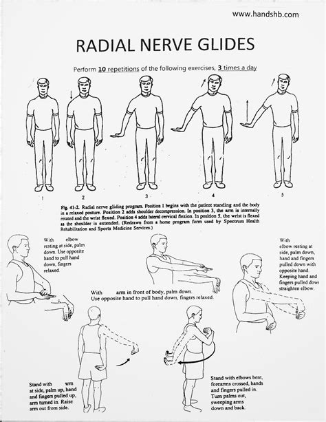 Radial Nerve Glides Printable