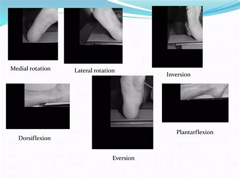 Radiographic Anatomy Positioning and Procedures Unit 6 Lower Limb Extremity CD-ROM Reader