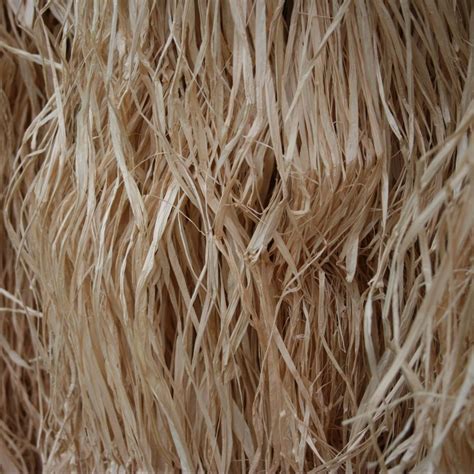 Raffia