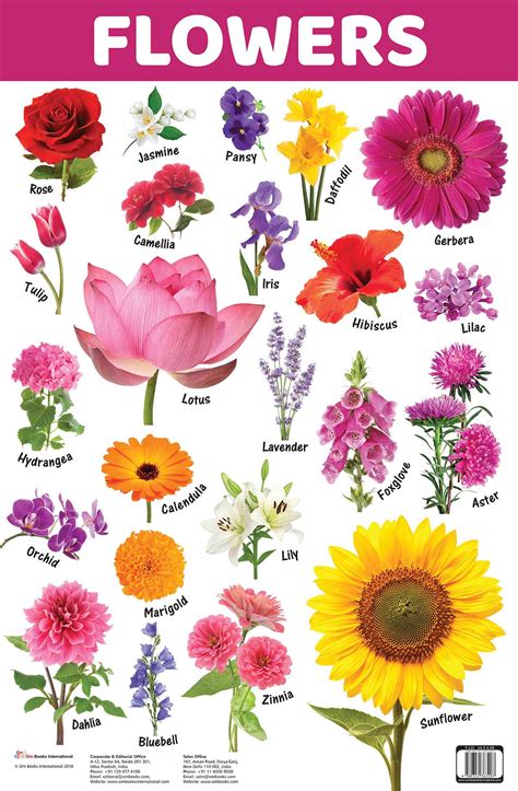 Rainbow Pictorial Chart Book - Flowers Doc