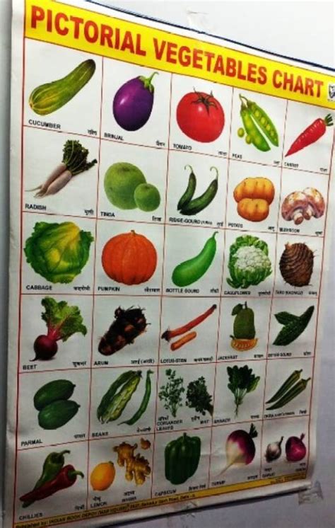 Rainbow Pictorial Chart book Vegetables Epub