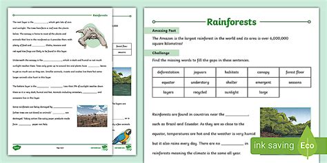 Rainforest Cloze Passage Answers Epub