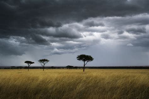 Raining in the Savannah: A Majestic Aerial Showcase