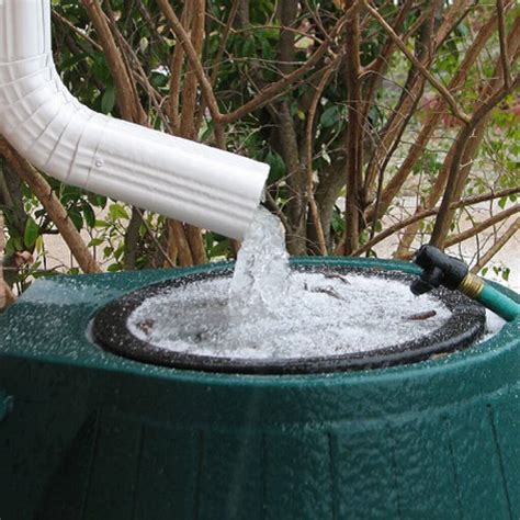 Rainwater: