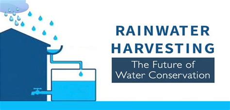 Rainwater Harvesting: A Comprehensive Guide