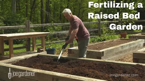 Raised Bed Fertilizer 101: A Comprehensive Guide to Nourishing Your Garden