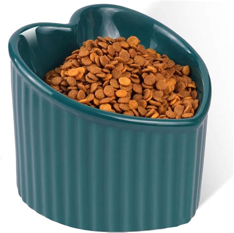 Raised Cat Food Bowl for Reduced Strain: Top 2025 Picks