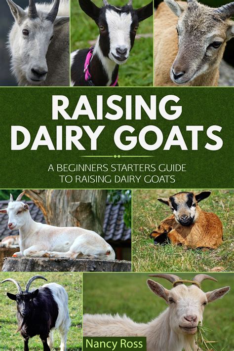 Raising Dairy Goats A Beginners Starters Guide to Raising Dairy Goats Epub