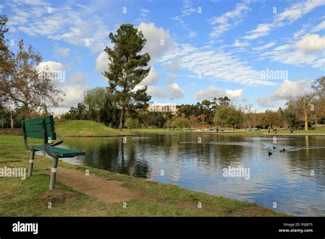 Ralph B. Clark Regional Park: A Photographic Journey