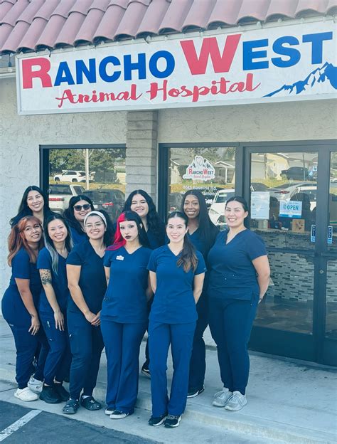 Rancho West Animal Hospital: A Comprehensive Guide to Your Pet's Health