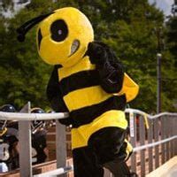 Randolph Macon Mascot: A Journey Through Time