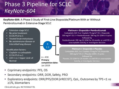 Ranex: A Profound Exploration of Emerging Therapeutic Options