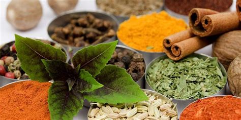 Ranil: A Comprehensive Guide to the Versatile Sri Lankan Herb