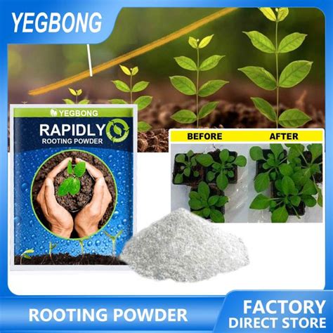 Rapid Grow Seed Soaking Fertilizer: 50% Faster Growth in 7 Days