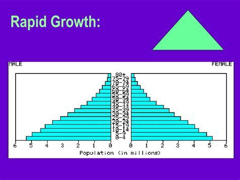 Rapid Growth Population Pyramid: Navigating the Challenges and Harnessing the Opportunities