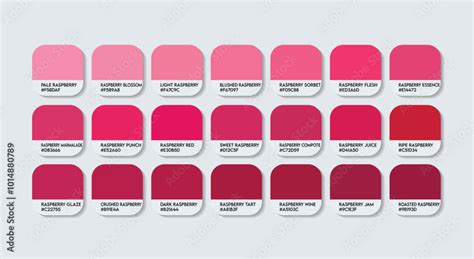 Raspberry Pink: A Color that Captivates